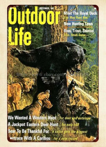 Hunting Dog Outdoor - Dekoracja ścienna do biura 1967 Outdoor