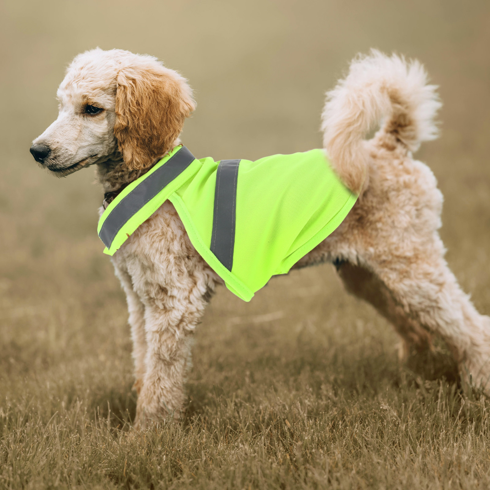 Odblaskowa kamizelka ochronna  – Hunting Dog Outdoor recenzja i cena