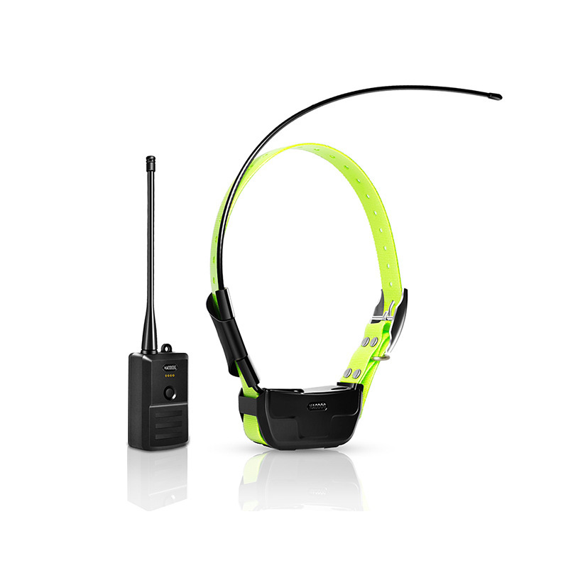 Obroża Star Spear z podwójnym  – Outdoor Hunting Dog Collar recenzja i cena