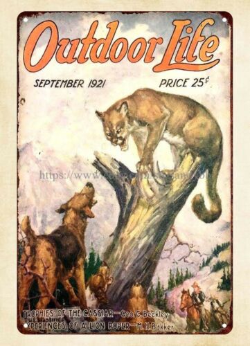 Kup tabliczkę metalową z okład – Hunting Dog Outdoor recenzja i cena